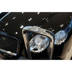 Bentley Continental GT Coupé 2011-2018 (EU) 4-tlg. Kofferset Kofferraum 12 Bentley Continental GT Coupé 2011-2018 (EU) 4-tlg. Kofferset Kofferraum -Reiseaufbewahrung 1048480 DSC02713